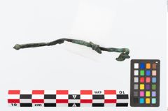 Foto von Bronzeschlangenfibel (NHMW-PRAE-023659)